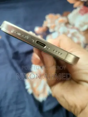 Apple iPhone 16 Pro Max ২২৫ জিবি (Used)