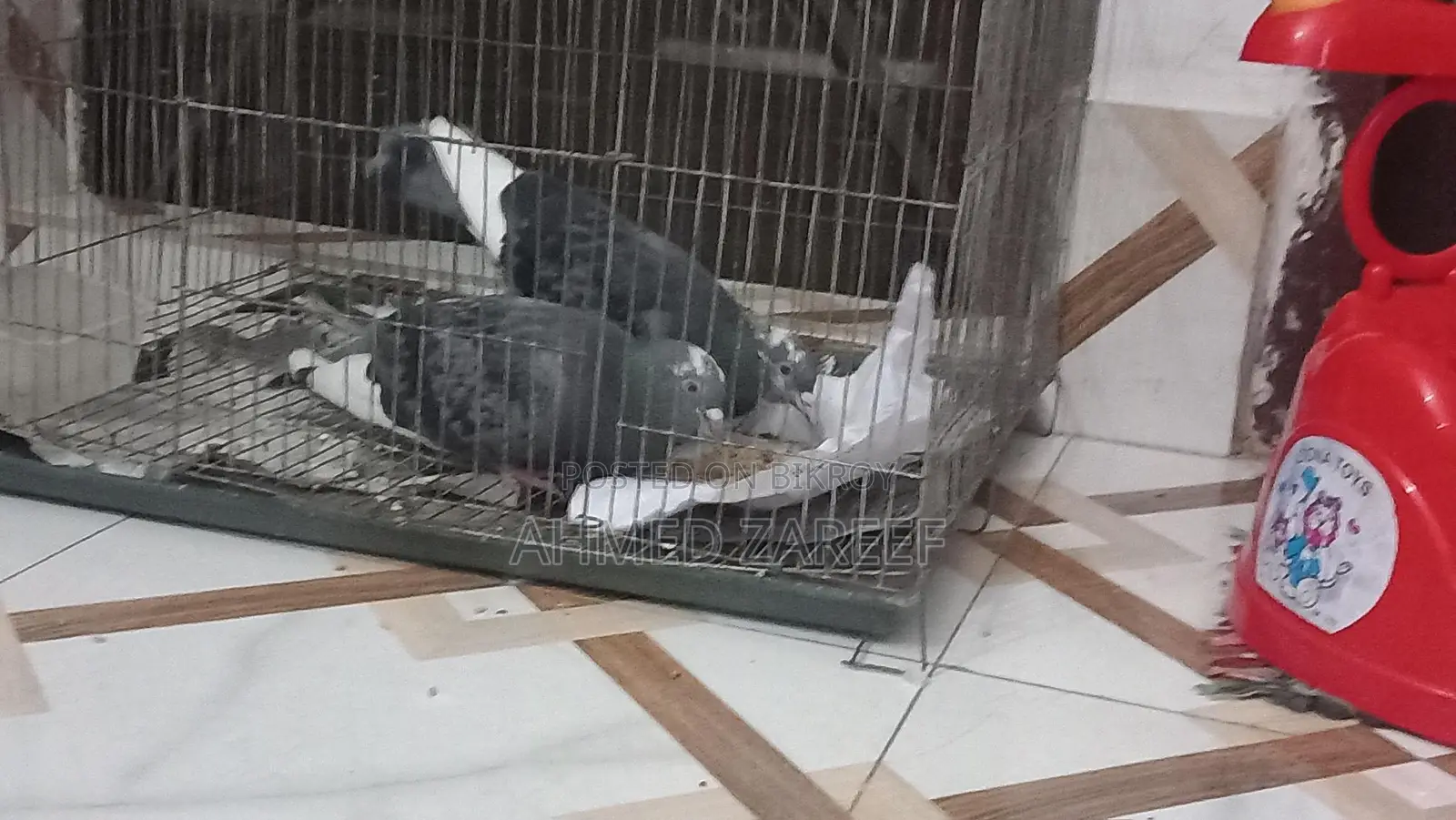 Dui ta male bikroy kora hobe