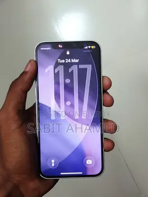 Apple iPhone 12 (Used)