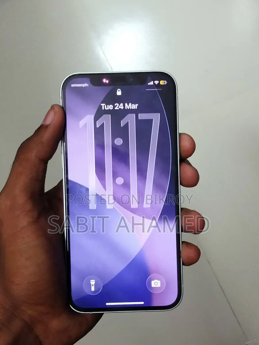 Apple iPhone 12 (Used)