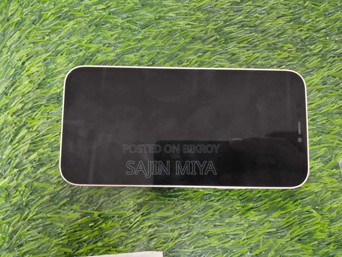 Apple iPhone 12 (Used)