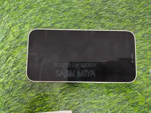 Apple iPhone 12 (Used)