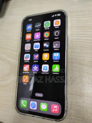 Apple iPhone 13 Pro Max (Used)