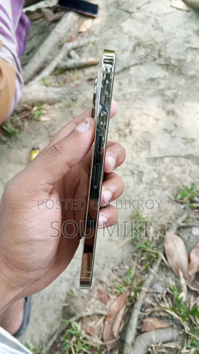 Apple iPhone 13 Pro Max 256GB (Used)