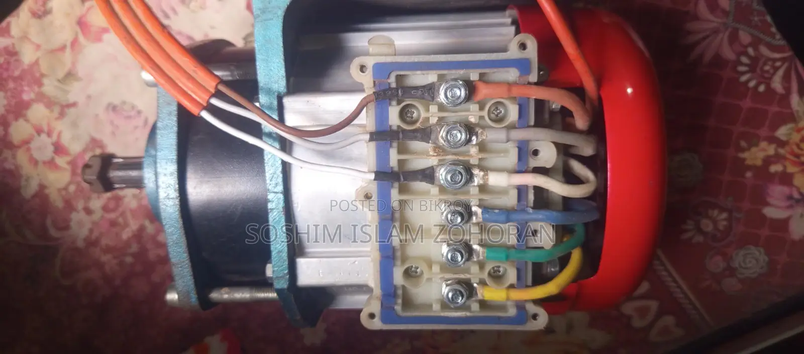 Datai motor 1000
