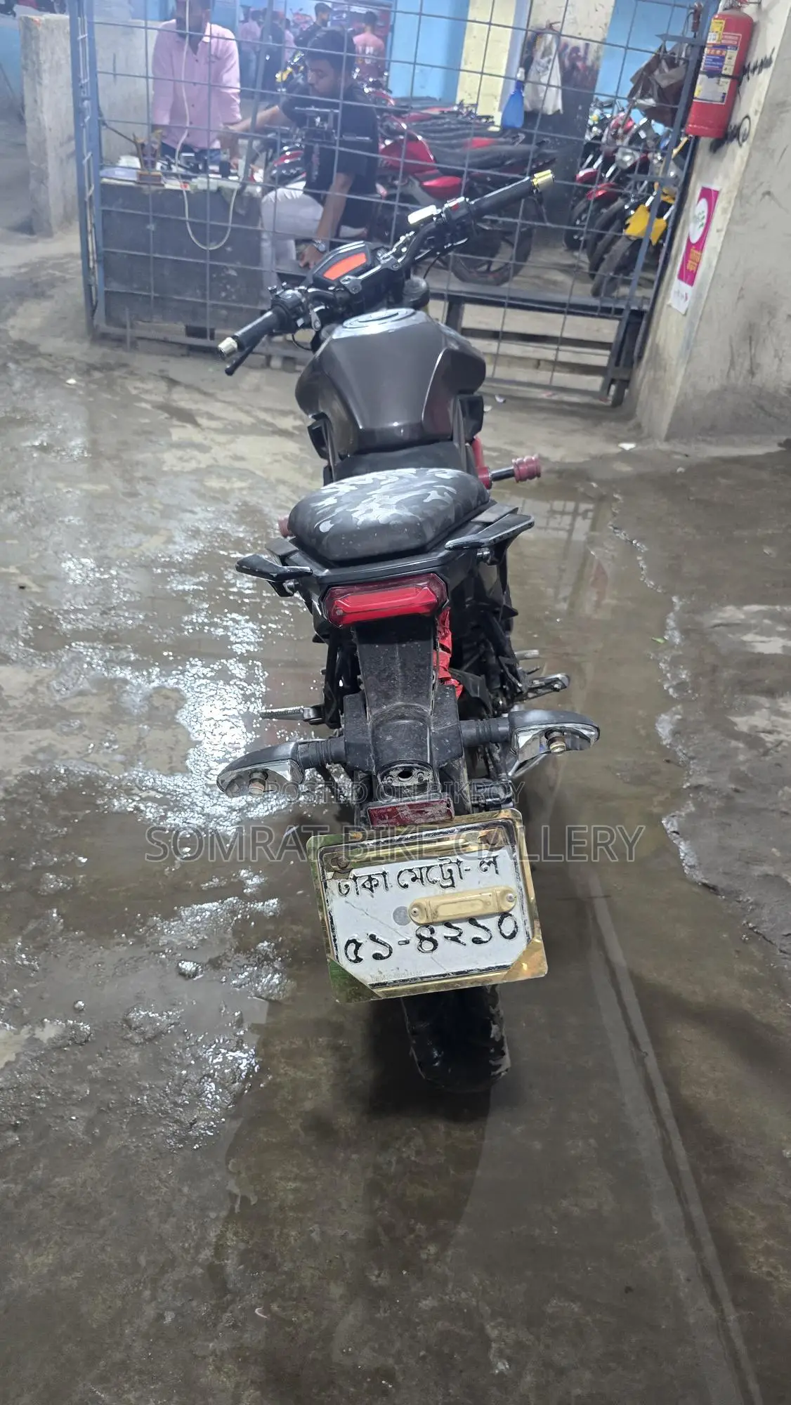 Runner Bolt সুপার ফ্রেশ 2018