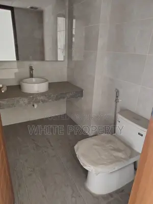 Santa Luxurious Apartment sale at Bashundhara R/A