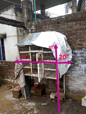 ধাপরি খাচা