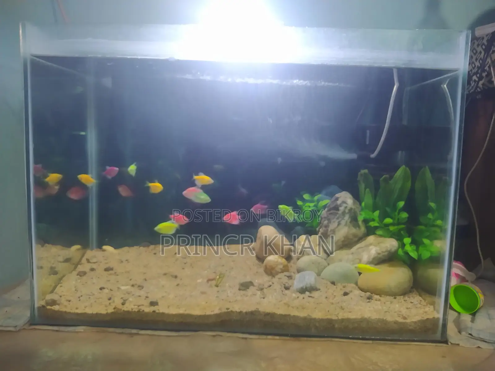 একুরিয়াম