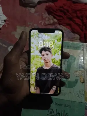 Apple iPhone X (Used)