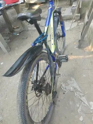 Bicycle for Sale