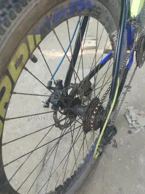 Bicycle for Sale