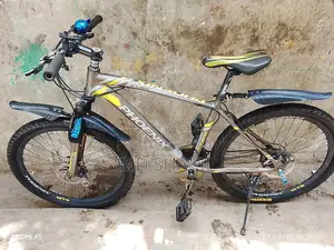 Phoenix Cycle