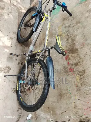 Phoenix Cycle