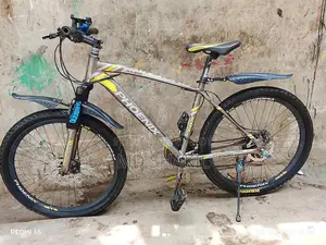 Phoenix Cycle