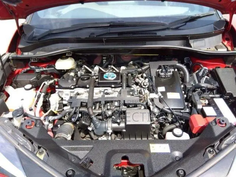 Toyota C-HR G PACKAGE RED WINE 2021