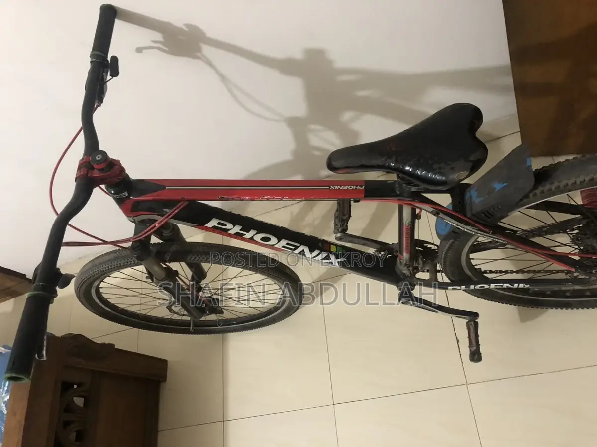 Phoenix Cycle
