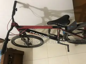 Phoenix Cycle
