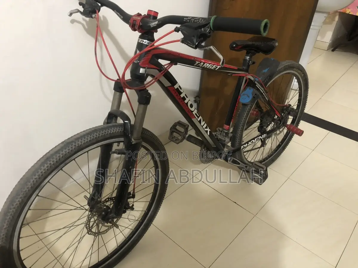 Phoenix Cycle