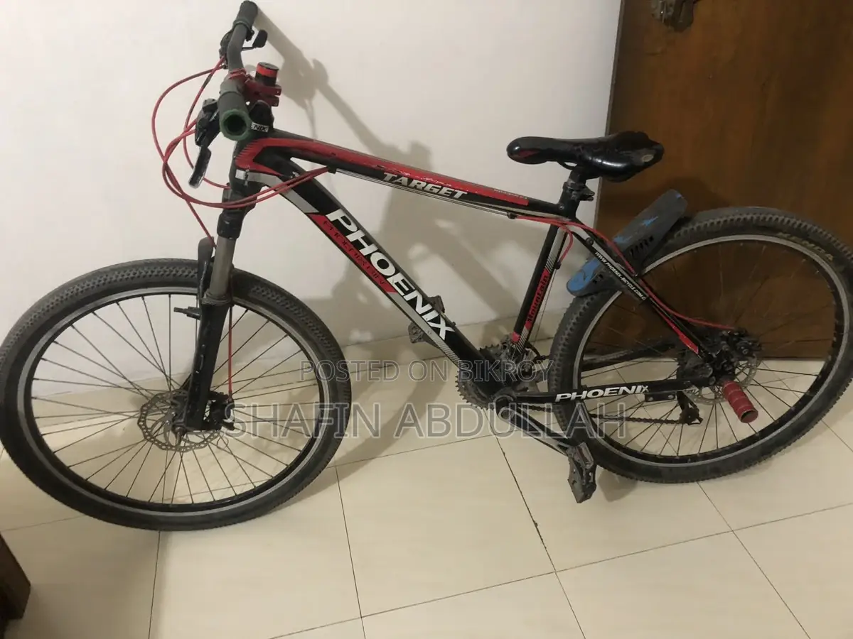Phoenix Cycle