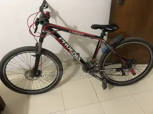 Phoenix Cycle