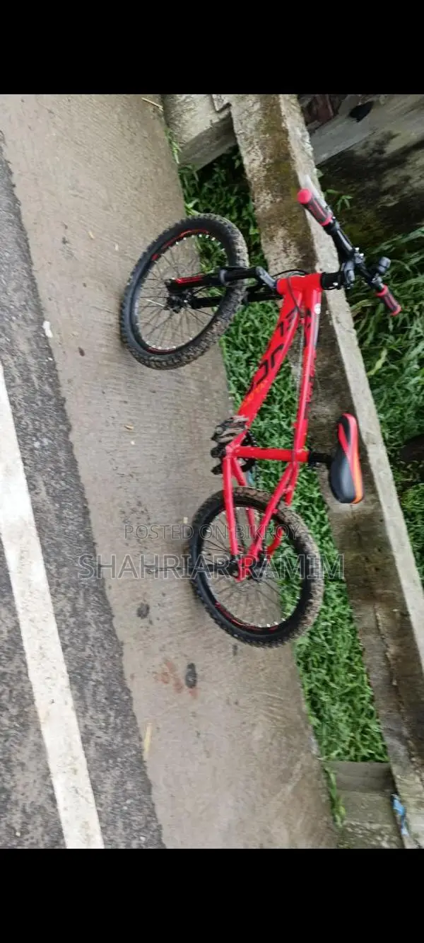 Veloce Cycle