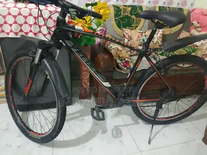 Veloz Bicycle