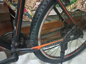 Veloz Bicycle