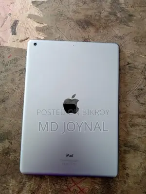 Apple Ipad Air