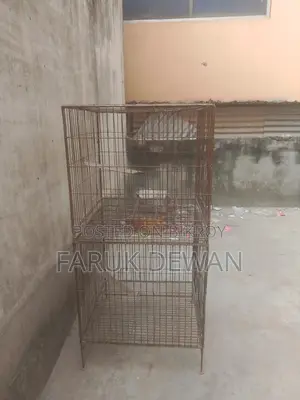 পাখির খাঁচা শক্ত এবং মজবুত