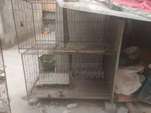 পাখির খাঁচা শক্ত এবং মজবুত