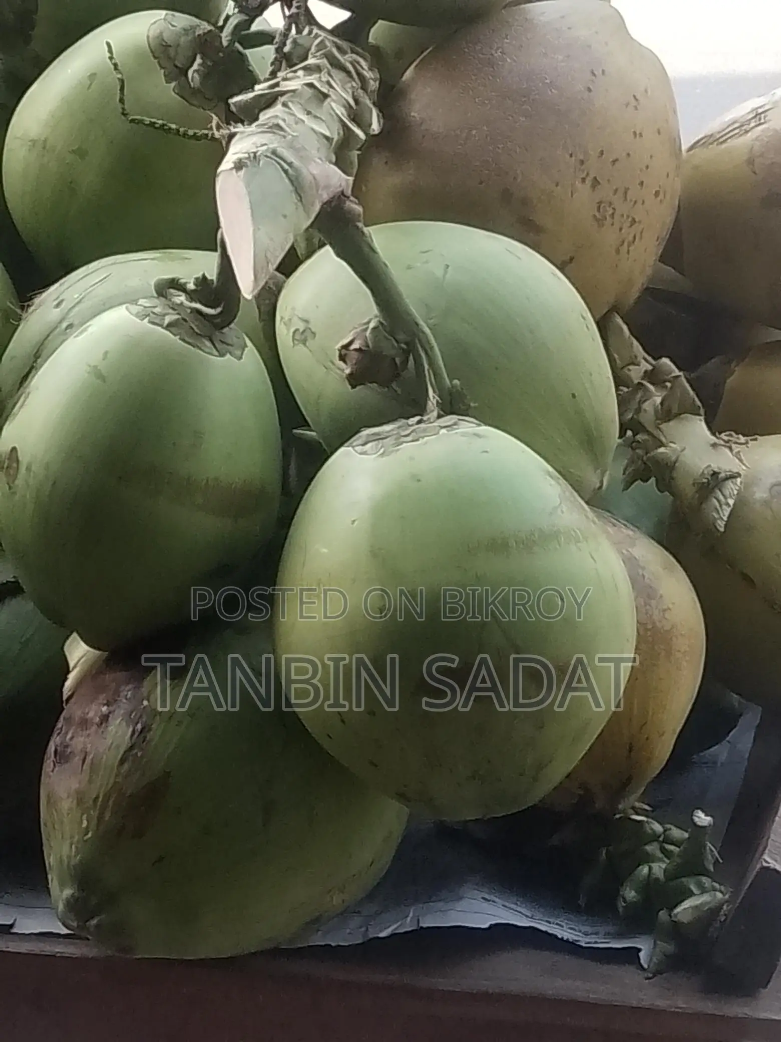 ডাব আছে