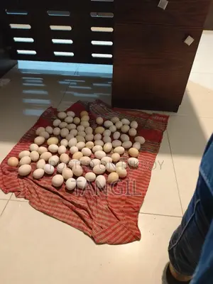 মুরগির ডিম
