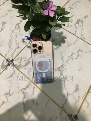 অ্যাপল আইফোন ১৬ প্রো ম্যাক্স (ব্যবহৃত)