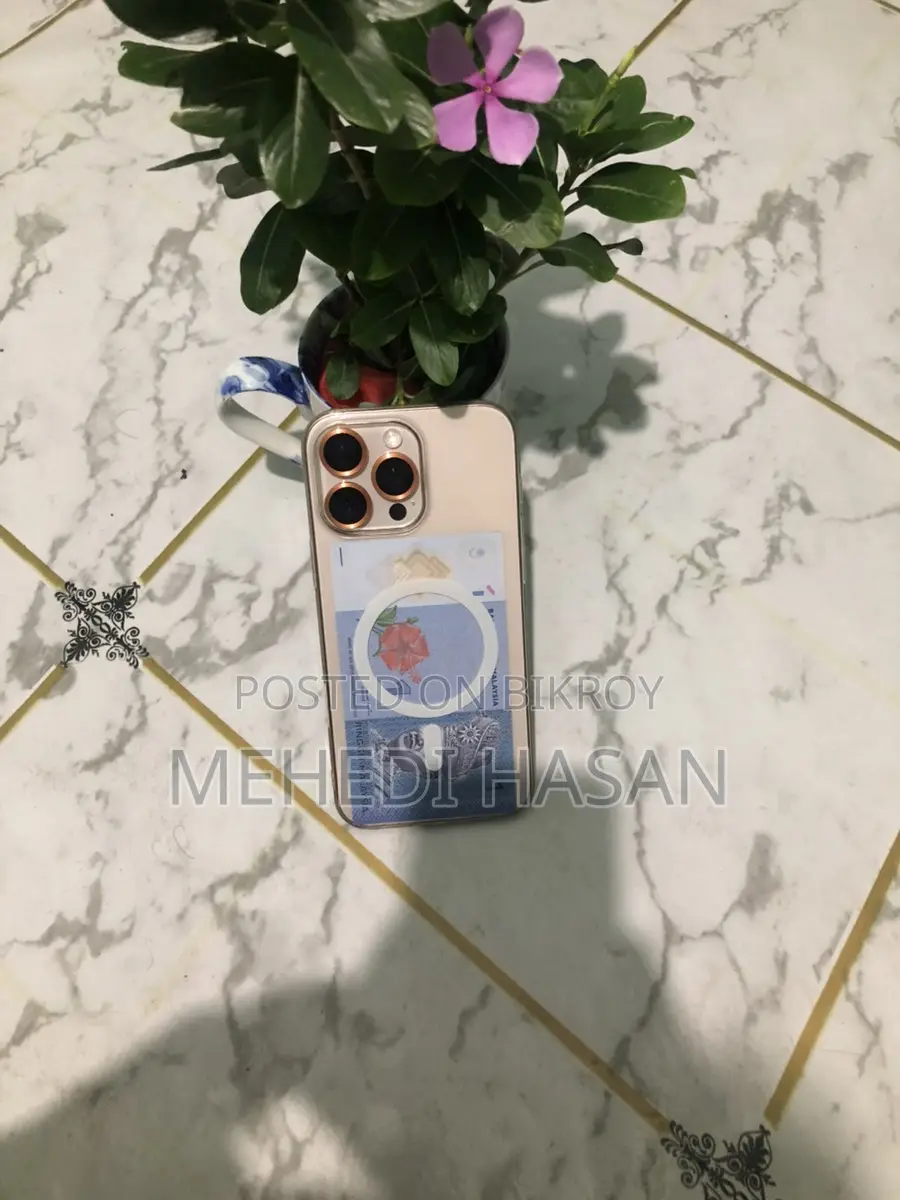 অ্যাপল আইফোন ১৬ প্রো ম্যাক্স (ব্যবহৃত)