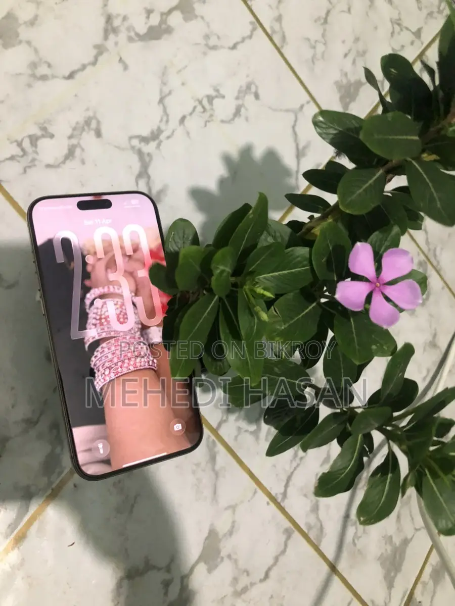 অ্যাপল আইফোন ১৬ প্রো ম্যাক্স (ব্যবহৃত)