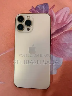 Apple iPhone 13 Pro Max (Used)
