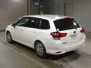 Toyota Fielder Ex 2021