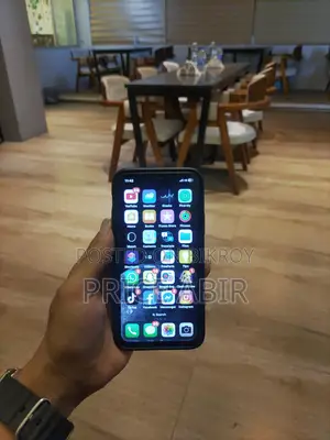 Apple iPhone X (Used)