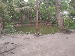 Land for sale 7.34 decimals residential area
