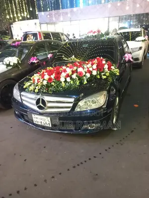 Rent a Car