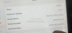 Apple iPad Pro Used