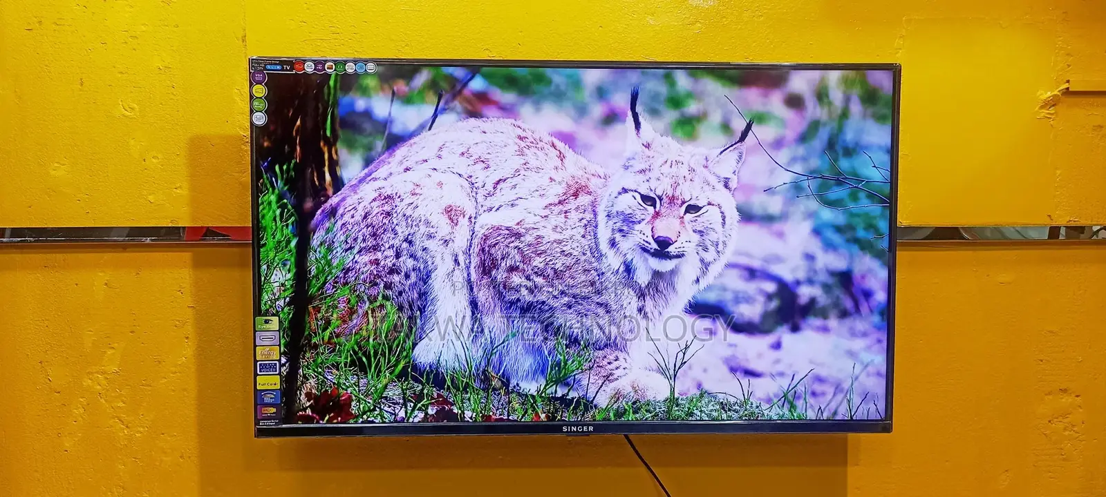 SINGER-43" Inche Android Framless Voice Control TV