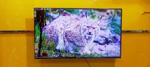 SINGER-43" Inche Android Framless Voice Control TV