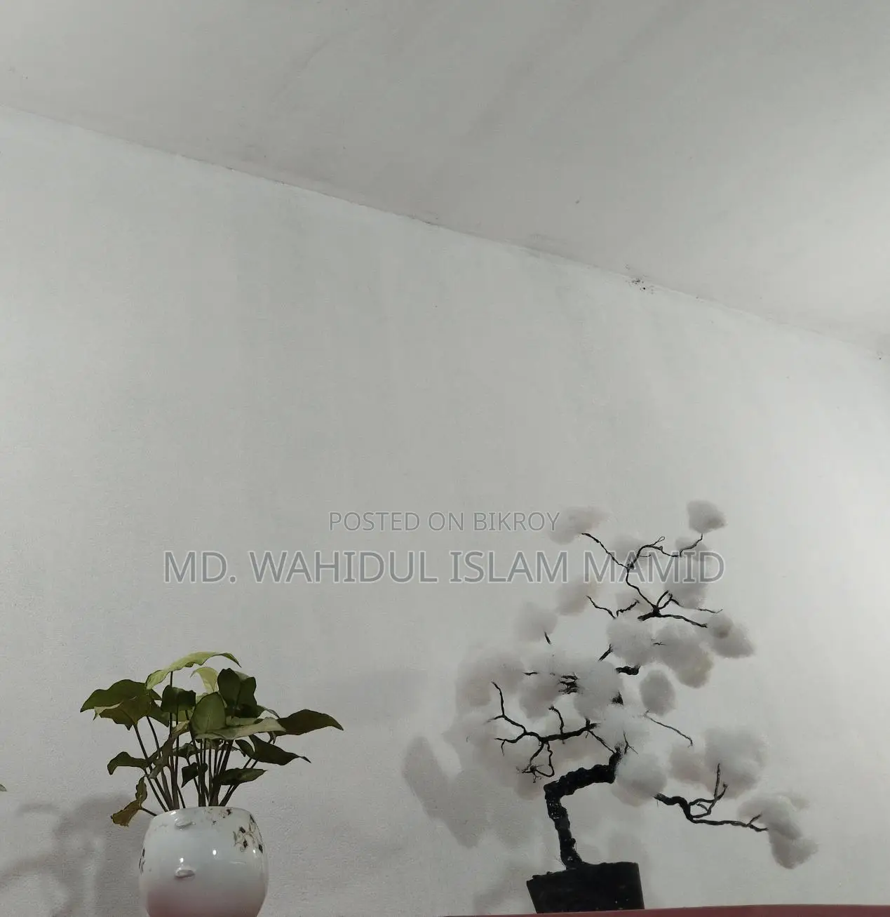 Hand Made Bonsai Tree