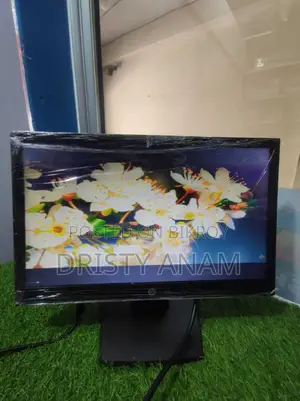**HP 19" LED Monitor (Model: HP V194)**