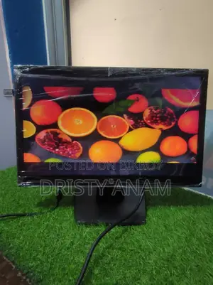 **HP 19" LED Monitor (Model: HP V194)**