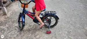 Meghna Group Baby Bicycle