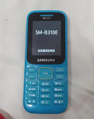 Samsung Guru Music 2 (Used)