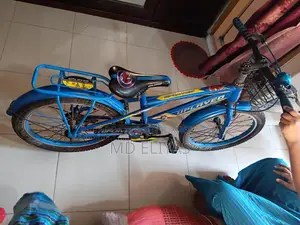 Uplaid Bicycle
